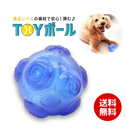 アース・ペット:一緒に遊んでトーイ ラグビーボール RB-PV.AT 犬 おもちゃ 玩具 トイ ラグビー ボール RB-PV.AT