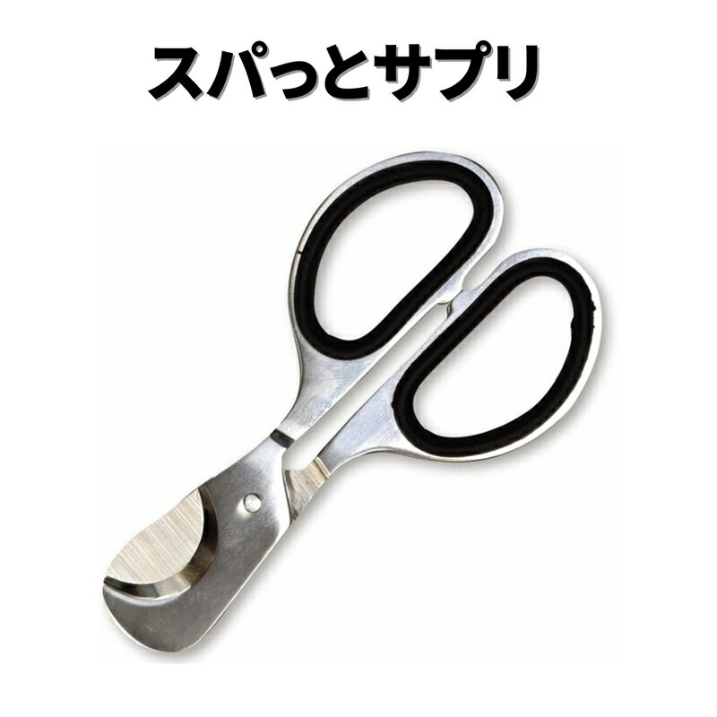 ��SS50%���աۥ��Ѥäȥ��ץ� �� ���ץ� �Ϥ��� �礭��Υ��ץ� ���ץ���� ������ ��ǯ��� ��ǯ�� �ڥå��� ���� ���å� �Ϥ��� �ݷ��ο� 16mm...