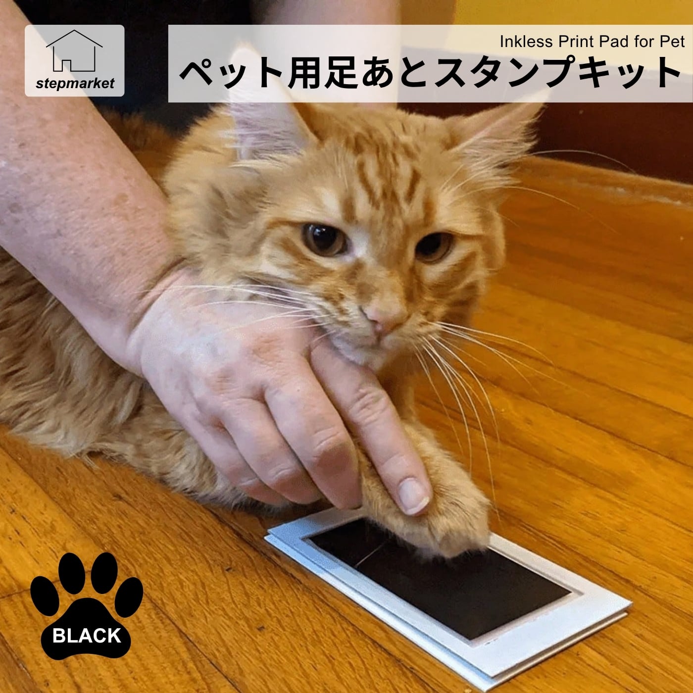 ・大切なペットの肉球を記念に残せるペット用肉球プリントセットです。 ・愛犬や愛猫のかわいい肉球をプリントして、成長記録や思い出作りに活用できます。 ・ペットの今だけの姿を残したい方におすすめのメモリアルグッズです。 ・犬、猫、小型ペットなどの肉球記録や足形の保存に便利です。 ・ペットを家族として大切にしている方へのギフトにもぴったりです。 ・母の日、バレンタインデー、感謝祭、誕生日、記念日などのプレゼントにもおすすめです。 ・シンプルなブラックカラーで、写真やインテリアにも合わせやすいデザインです。 ・ペットの成長の素晴らしい瞬間を記録し、忘れられない思い出作りをサポートします。 【商品仕様】 ・サイズ：Mサイズ 約8cm×12.5cm ・素材：PP ・カラー：ブラック ・生産国：中国 【注意事項】 ・ペットの種類や肉球の大きさによっては、プリント範囲に収まらない場合があります。 ・使用時はペットの様子を確認し、無理に押し付けないようにしてください。 ・インクが付着した場合は、早めに洗い流してください。 ・小さなお子様やペットが誤って口に入れないよう、使用後は手の届かない場所で保管してください。 ・海外製品のため、細かなキズや色ムラ、多少のサイズ誤差がある場合がございます。あらかじめご了承ください。 【関連キーワード】 ペット記念品 ペットメモリアル メモリアルフォト ペット思い出 犬グッズ 猫グッズ わんちゃん ねこちゃん 愛犬 愛猫 肉球アート 足あと 足跡 スタンプパッド インクパッド ペット足形 ペット手形 足型 手型 成長記録グッズ 記念フレーム 写真立て フォトフレーム ペットフレーム ペットプレゼント 犬プレゼント 猫プレゼント 飼い主 プレゼント 贈り物 プチギフト 誕生日ギフト 記念日ギフト 母の日ギフト バレンタインギフト 感謝祭ギフト ペットロス 思い出づくり 家族写真 おしゃれ雑貨 インテリア雑貨 小型犬 中型犬 子猫 成猫 子犬 多頭飼い ペット用品 かわいい 便利グッズ ブラック 黒 Mサイズ