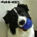 1000円ポッキリ 送料無料 ペットボールミニ ペット 遊び おもちゃ 犬 ボール 公園 ブルー オレンジ グリーン カラフル とってこい 遊べる 投げる 噛む トゲトゲ 噛みやすい 投げやすい