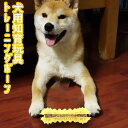 1000円ポッキリ 送料無料 犬用おもちゃ 噛むおもちゃ 犬 知育 歯磨きボーン 骨型 犬用おもちゃ ペットトイ ペットおもちゃ 餌入り可能 おやつボーン スト...