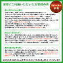 stepone:10000550のサンプル画像3