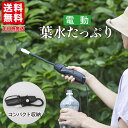 【P2倍&5%OFFクーポン対象★マラソン限定】 霧吹き 葉水 電動 園芸 観葉植物 オート 噴霧器 充電式 じょうろ ミスト 園芸 オートスプレー 充電式 ジェット ガーデン バレンタインデー ホワイトデー