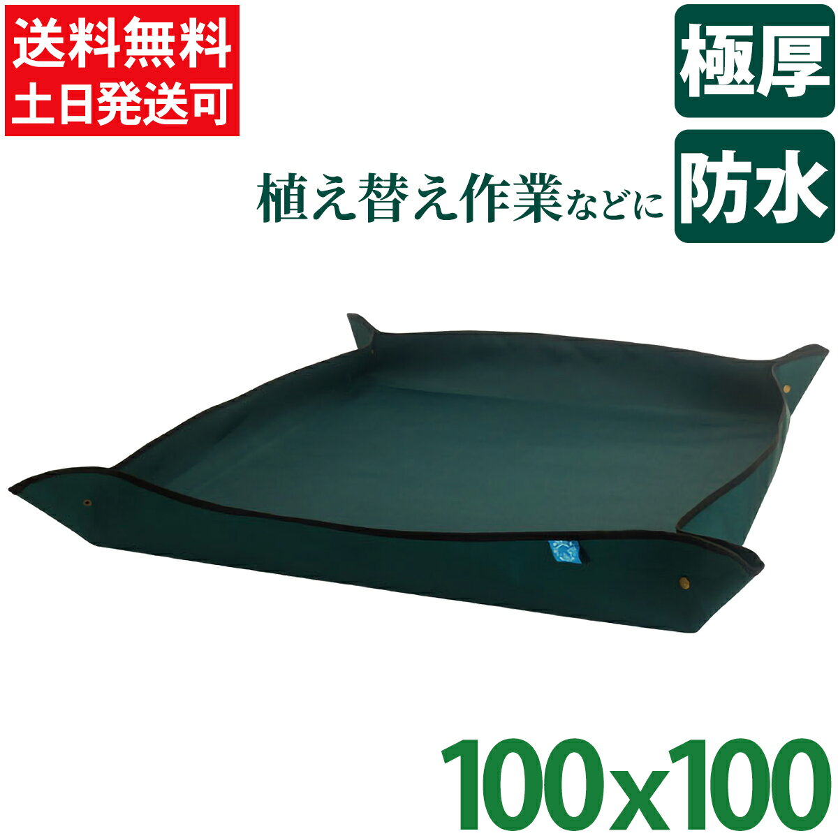 【当日発送】 ＼5/9木20時～10%割引クーポン対象／ 園芸シート 植え替えシート 防水 100 厚手 緑 100x100 80x80 シート 植え替え ガーデニングトレーシート 大 ガーデニングシート 庭仕事 寄せ植え ギフト サニーシート