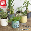 【当日発送】 ＼さらに割引クーポン対象／ 植木鉢 受皿付き 10.5x11.5cm 波佐見焼 白 黒 黄色 マスタード tターコイズ グレー 母の日 プレゼント