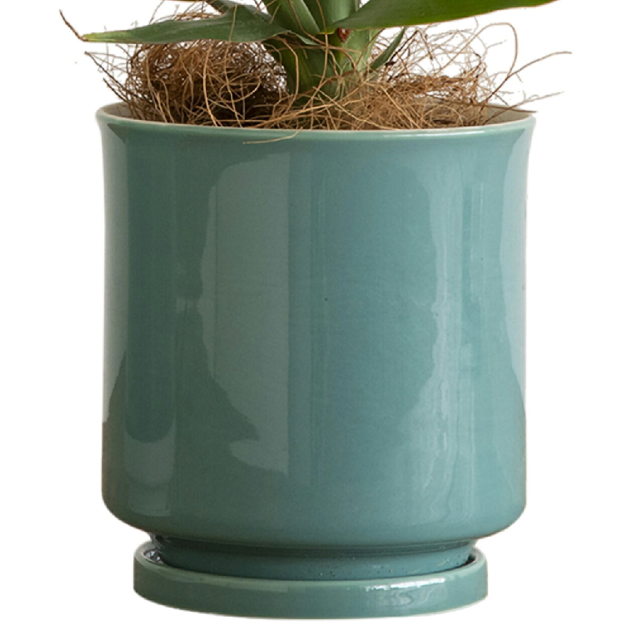 楽天市場】植木鉢 陶器（カラーブルー）（植木鉢・プランター