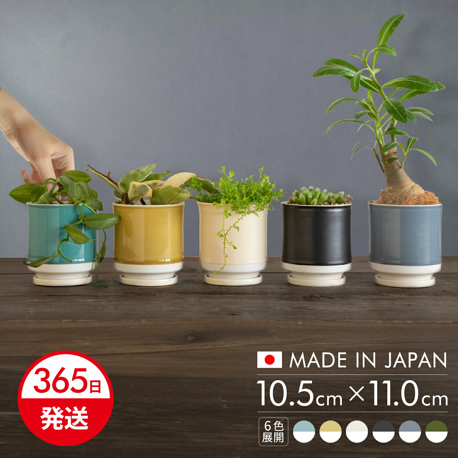 楽天市場】波佐見焼(サイズ(植木鉢)4 ~ 6号)(花・ガーデン 楽天市場】波佐見焼(サイズ(植木鉢)4 ~ 6号)(花・ガーデン