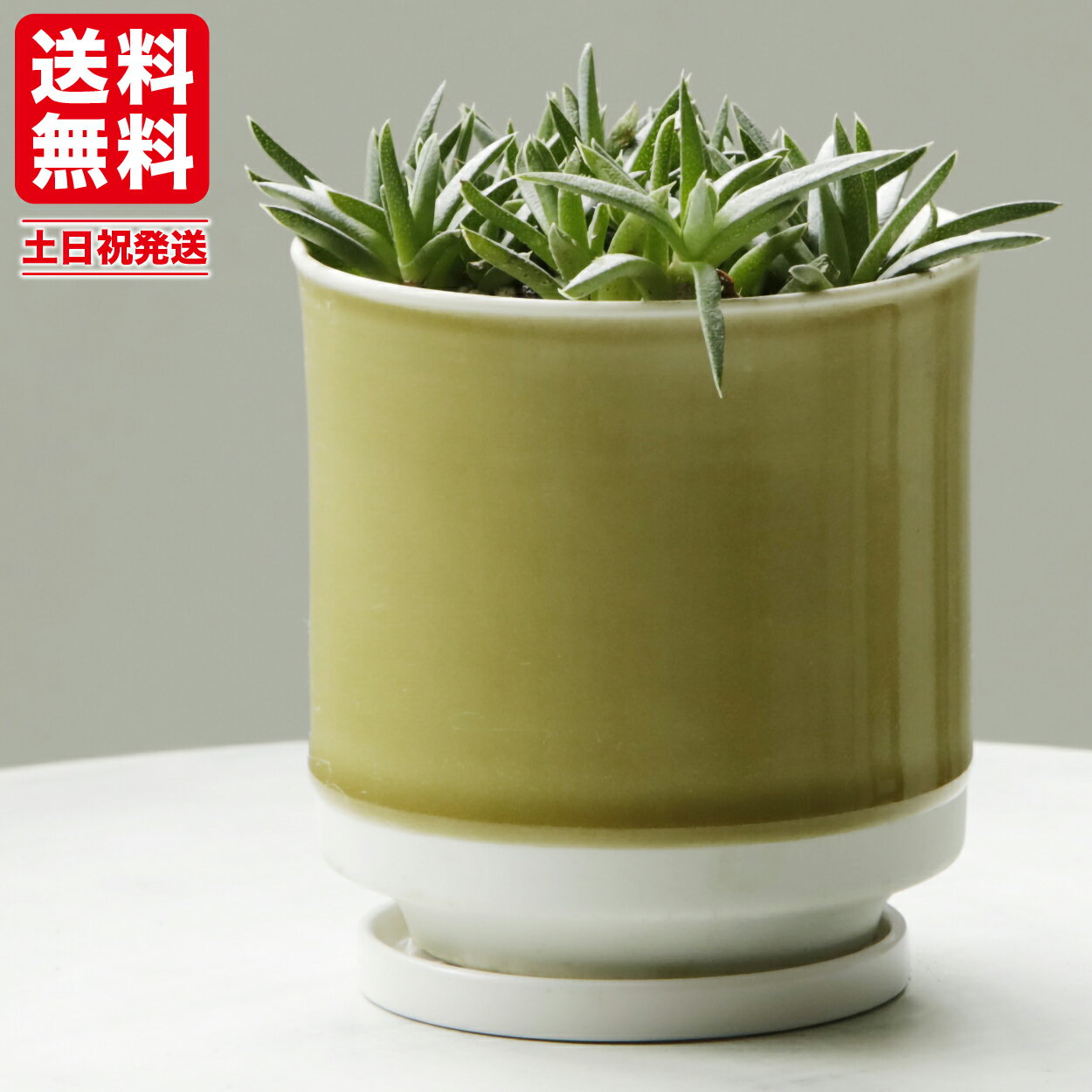 4號~6號 - 植木鉢 受皿付き 10.5x11.5cm 波佐見焼 マスタード ツートンカラー 4号 3.5号 プレゼント Leaf88
