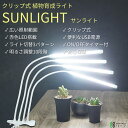 stepone:10000632のサンプル画像2