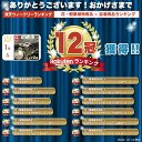 stepone:10000605のサンプル画像2