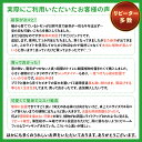 stepone:10000605のサンプル画像3