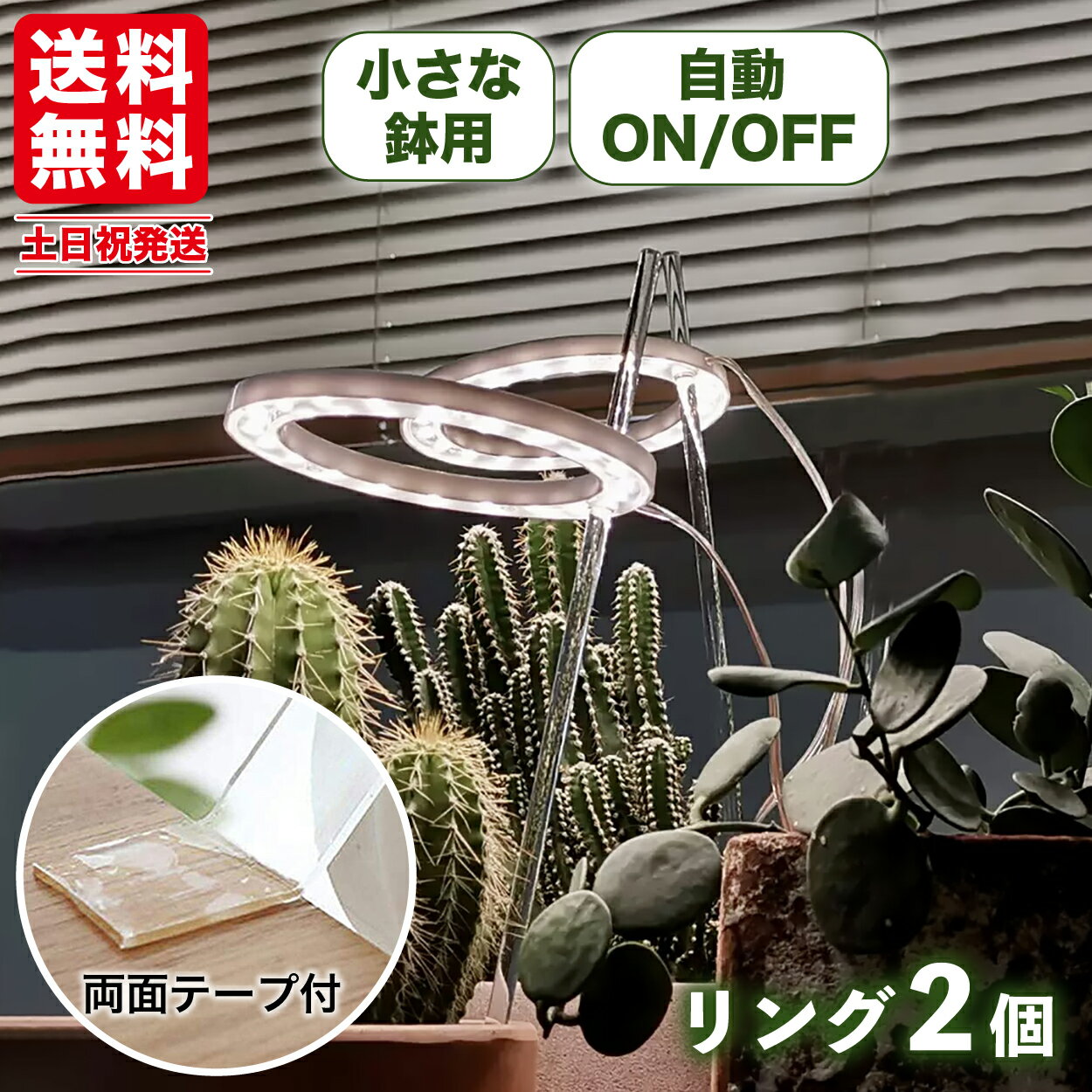植物育成ライト led 太陽光 2灯 おしゃれ 取扱説明書付 スタンド 多肉植物 観葉植物 LED 植物育成 タイマー 太陽光 観葉植物育成ライト 多肉 防水のサムネイル