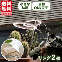 【当日発送&P10倍】＼さらに割引クーポン対象／ 植物育成ライト タイマー led 2灯 おしゃれ 取扱説明書付 スタンド …