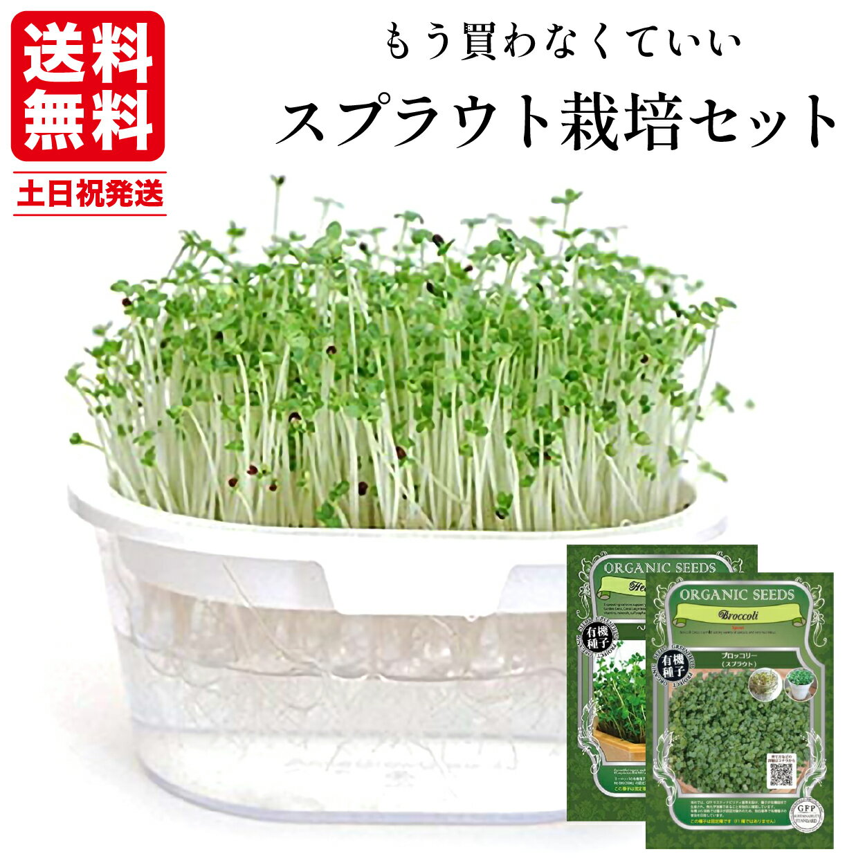 スプラウト 栽培セット 室内 簡単 栽培キット 野菜 プレゼント 水耕栽培セット 有機 ブロッコリー スプラウト 種 オーガニック クリスマス スプラウト栽培容器 栽培容器 母の日