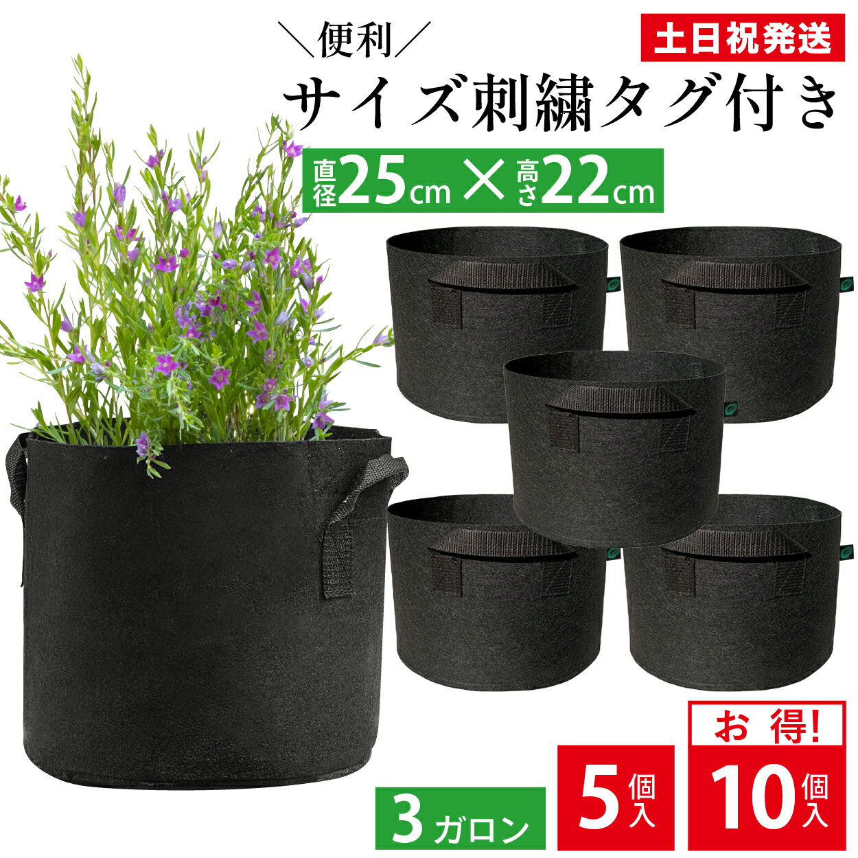  2/18����!P3�{  �s�D�z�v�����^�[ 3�K���� 8�� �s�D�z �v�����^�[ �A�ؔ� �t�F���g�v�����^�[ �y�� �y�� �ƒ�؉� �x�����_�؉� �s�D�z�|�b�g ��� �� �K�[�f�j���O �� �z�� Leaf88