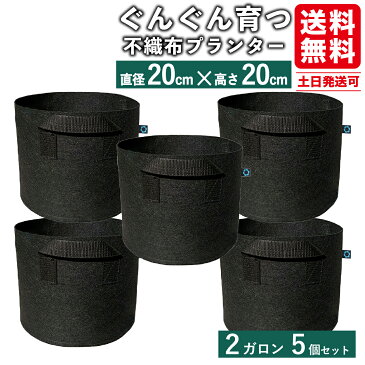 【P2倍&スーパーセールクーポン配布中】 不織布プランター 不織布ポット 2ガロン 5個 不織布 プランター 7号鉢相当 20x20 植木鉢 フェルトプランター 軽い 軽量 フェルト 鉢 黒 家庭菜園 布鉢 ルートバッグ
