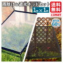 【当日発送】 ＼さらに割引クーポン対象／ 雨除け 遮光ネット セット 1x1m 遮光率60% ハトメ