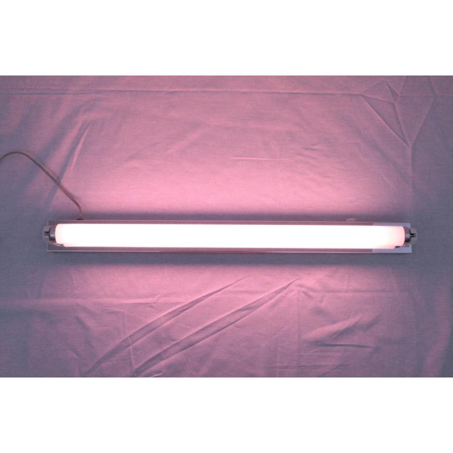 トヨスター カラーランプセット ピンク PINK 50Hz 50ヘルツ 東日本専用