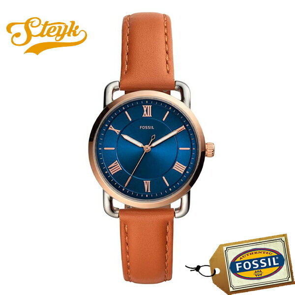 超人気の 日23 59まで 店内ポイント最大36倍 Fossil Es45 フォッシル 腕時計 アナログ コープランド Copeland レディース ブルー ブラウン カジュアル 送料無料 Mffertilidademasculina Com Br