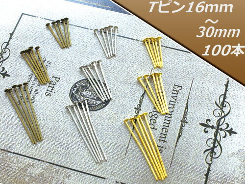 Tԥ Tԥѡ 100 å3 3 ꡼ ϥɥᥤǺ