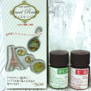 ジュエルレジン液 75g（主液50g 硬化液25g) 2液タイプレジン エポキシ レジンクラフト クリスタル 清原 宅配便のみの配送です