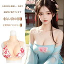 【レビュー特典 20%OFF】ユニセックス シリコンバストフォーム 男性女性兼用 コスプレ用