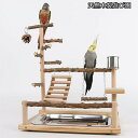 【レビュー特典 10%OFF】【高さ約45cm】インコ 遊び場 三層 バード アスレチック 玩具 スタンド 止まり木 はしご 鳥 巣 カゴ 遊園地 秋千 ラダー...