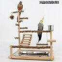 【レビュー特典 20%OFF】【高さ約45cm】インコ 遊び場 三層 バード アスレチック 玩具 スタンド 止まり木 はしご 鳥 巣 カゴ 遊園地 秋千 ラダー...