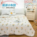 【レビュー特典 10%OFF】肌掛け布団 掛布団 掛ふとん ダブル 洗える カバー不要 キッズ 女の子 洗える肌掛け布団 柔らか 春用 夏用 秋用 肌布団 オー...