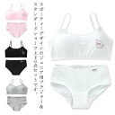 【レビュー特典 10%OFF】ジュニアブラジャー ジュニアブラ パッド 中学生 スタンダードショーツ カップ付き キッズブラ ファーストブラ ノンワイヤー 初ブ...