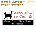 アメリカン・ショートヘア イン ハウス ステッカー 【猫 cat in house キャット シール 防犯 american shorthair】【文字変更可】