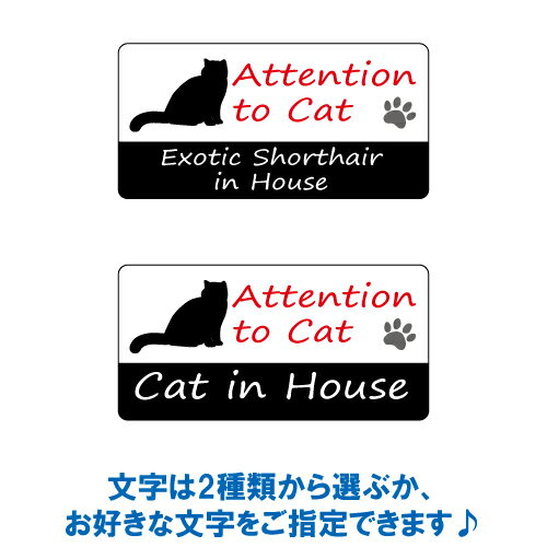 エキゾチックショートヘア イン ハウス ステッカー 【猫 cat in house キャット シール 防犯 exotic shorthair】【文字変更可】 2