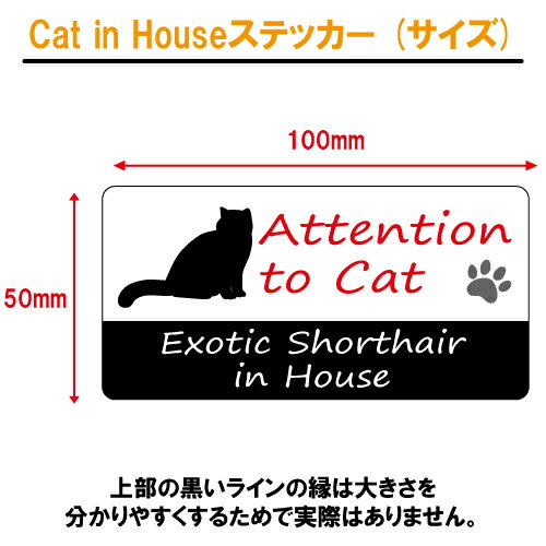 エキゾチックショートヘア イン ハウス ステッカー 【猫 cat in house キャット シール 防犯 exotic shorthair】【文字変更可】 3