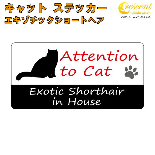 エキゾチックショートヘア イン ハウス ステッカー 【猫 cat in house キャット シール 防犯 exotic shorthair】【文字変更可】