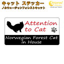 ノルウェージャンフォレストキャット イン ハウス ステッカー 【猫 cat in house キャット シール 防犯 norwegian forest cat】【文字変更可】