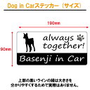 バセンジー basenji in Car ステッカー プリントタイプ 【dog in car ドッグ インカー 犬 シール デカール】【文字変更可】 3