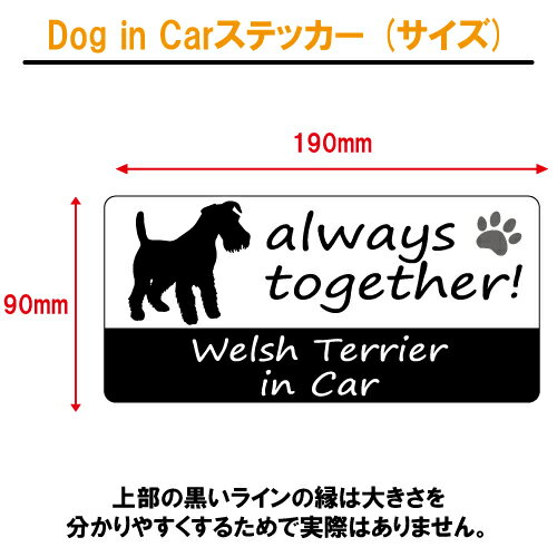 ウェルシュテリア welsh terrier in Car ステッカー プリントタイプ 【dog in car ドッグ インカー 犬 シール デカール】【文字変更可】 3