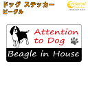 ビーグル イン ハウス ステッカー 【犬 dog in house ドッグ シール 防犯 beagle】【文字変更可】