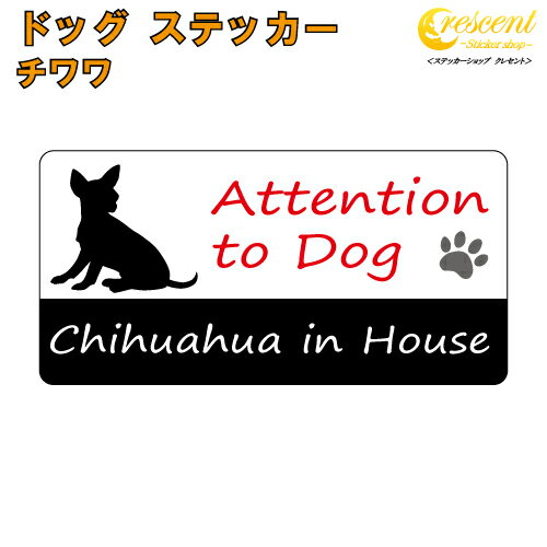   ϥ ƥå ڸ dog in house ɥå   chihuahuaۡʸѹġ