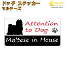 マルチーズ イン ハウス ステッカー 【犬 dog in house ドッグ シール 防犯 maltese】【文字変更可】