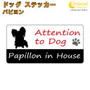 パピヨン イン ハウス ステッカー 【犬 dog in house ドッグ シール 防犯 papillon】【文字変更可】