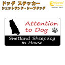 シェットランド・シープドッグ イン ハウス ステッカー 【犬 dog in house ドッグ シール 防犯 shetland sheepdog】【文字変更可】