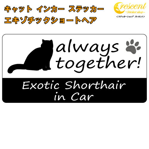 商品説明 猫ちゃん大好き♪な気持ちをステッカーで作ってみました！ always together! いつも一緒！ 下の文字は4種類からお選びいただけます。 Cat in Car Cat on Board 英語表記の猫名　in Car 英語表記の猫名　on Board 猫名の所は愛猫のお名前を指定することも可能です♪ 日本語でも英語でも大丈夫！ 変更は無料です。 さらに！！ 左のシルエットですが、愛猫の写真へ変更することができるんです！ 写真の変更が+500円のオプションとなります。 ご注文後、メールで写真をお送りください。 飼い主さんだけのステッカーになりますよ♪ お出かけ先などで猫好きの方の話題になること間違いなし！ 文字の指定方法 ステッカーの仕様 当店のフルカラーステッカーは表面にUVカットを兼ねたラミネート加工を行っております。 対抗年数：5年なので長期間貼っていても色褪せません！ 水に濡れても大丈夫な素材ですので雨も全く問題ありません。 そのうえ洗車機を使用しても剥がれることはありませんので安心です♪ サイズ愛猫との楽しいドライブ♪ちょっと自慢したいうちの子、そんな気持ちをステッカーにしました♪