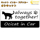 オシキャット ocicat in Car ステッカー プリントタイプ 【Cat in Car キャット インカー 猫 シール デカール】【文字変更可】