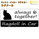 ラグドール ragdoll in Car ステッカー プリントタイプ 【Cat in Car キャット インカー 猫 シール デカール】【文字変更可】