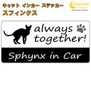 スフィンクス sphynx in Car ステッカー プリントタイプ 【Cat in Car キャット インカー 猫 シール デカール】【文字変更可】