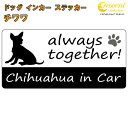 チワワ chihuahua in Car ステッカー プリントタイプ 