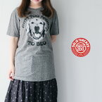 【LINE登録で500円オフクーポン】SOLID THREADS ソリッドスレッズAin't Too Proud to Beg T-shirt ST-I-4S プリントTシャツ 【2024SS 春夏】 ギフト 母の日 プレゼント ランキング