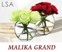 yLSAz MALIKA GRAND t[x[X/ԕr