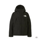 THE NORTH FACE ザ・ノース・フェイス MOUNTAIN JACKET NP61800 マウンテンジャケット メンズ アウター ゴアテックス 登山 スポーツ 正規取扱店【10%OFF 定価59,400円】(4)